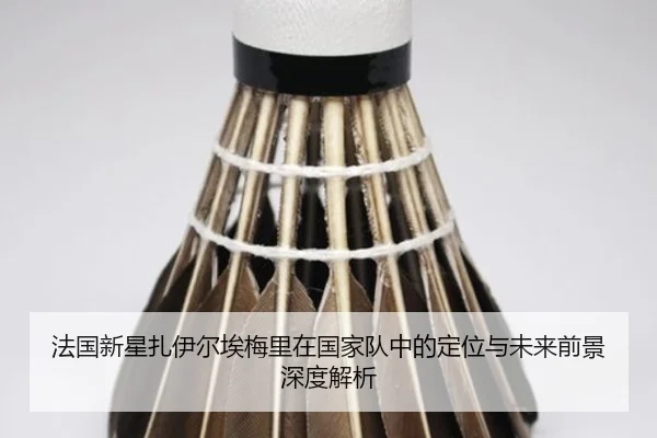法国新星扎伊尔埃梅里在国家队中的定位与未来前景深度解析 | okooo
