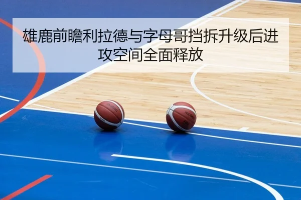 雄鹿前瞻利拉德与字母哥挡拆升级后进攻空间全面释放 | okooo