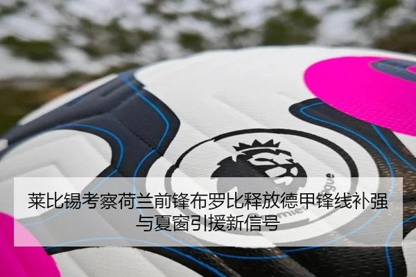 莱比锡考察荷兰前锋布罗比释放德甲锋线补强与夏窗引援新信号 | okooo